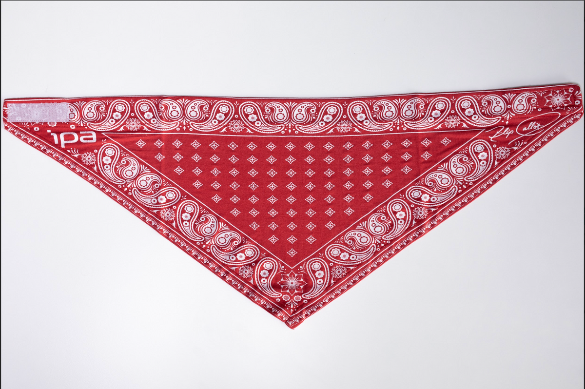 Flip Pallot Signature Bamboo Bandana (Paisley)