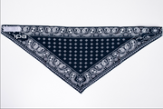 Flip Pallot Signature Bamboo Bandana (Paisley)