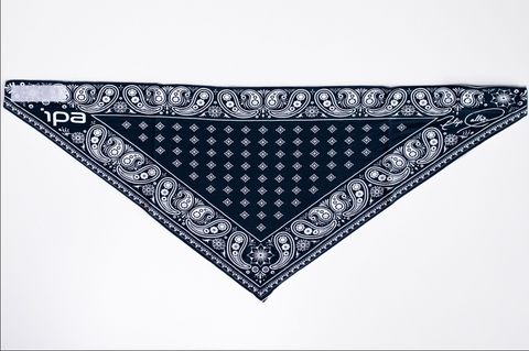 Flip Pallot Signature Bamboo Bandana (Paisley)